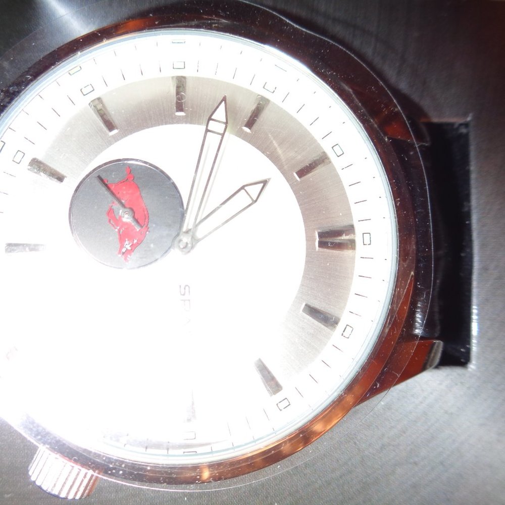 Arkansas Razorbacks Watch - Picture 3 of 3